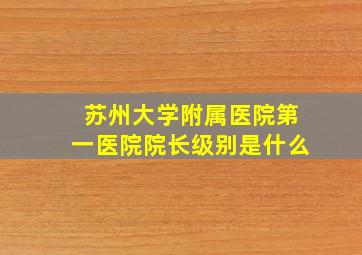 苏州大学附属医院第一医院院长级别是什么