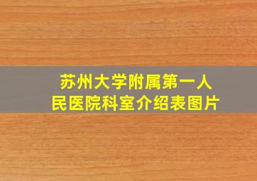 苏州大学附属第一人民医院科室介绍表图片