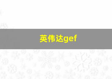 英伟达gef