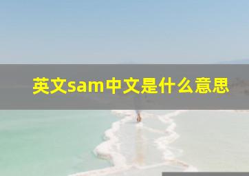 英文sam中文是什么意思