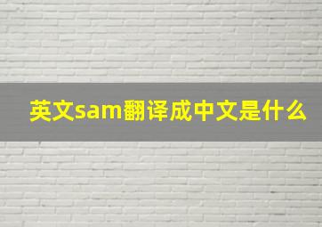 英文sam翻译成中文是什么