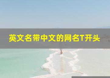 英文名带中文的网名T开头