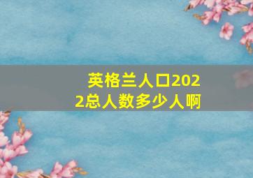 英格兰人口2022总人数多少人啊