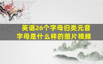 英语26个字母归类元音字母是什么样的图片视频