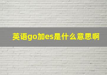 英语go加es是什么意思啊