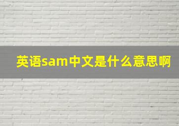 英语sam中文是什么意思啊