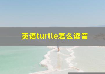 英语turtle怎么读音