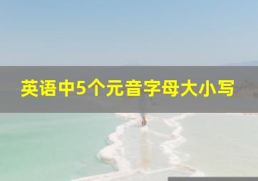 英语中5个元音字母大小写