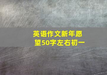 英语作文新年愿望50字左右初一