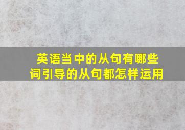 英语当中的从句有哪些词引导的从句都怎样运用