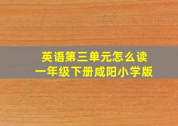 英语第三单元怎么读一年级下册咸阳小学版