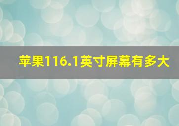 苹果116.1英寸屏幕有多大