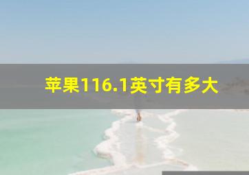 苹果116.1英寸有多大