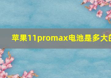 苹果11promax电池是多大的