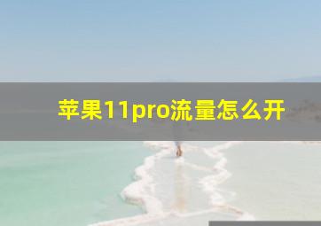 苹果11pro流量怎么开