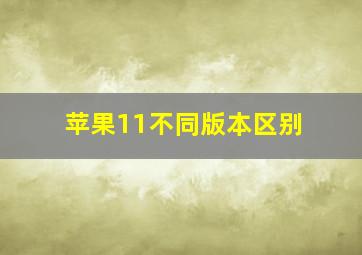 苹果11不同版本区别