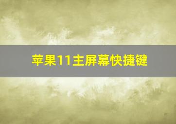 苹果11主屏幕快捷键