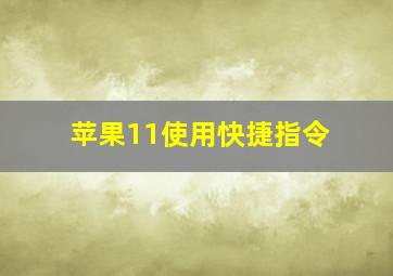 苹果11使用快捷指令