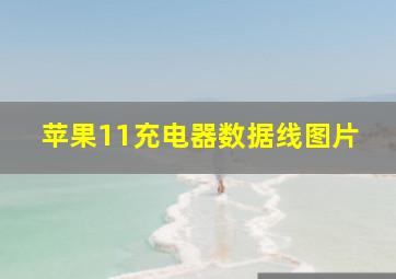 苹果11充电器数据线图片