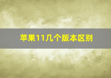 苹果11几个版本区别