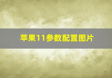 苹果11参数配置图片