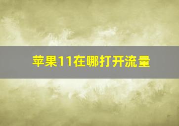 苹果11在哪打开流量