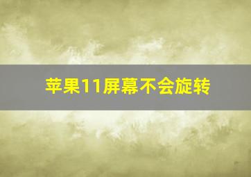 苹果11屏幕不会旋转