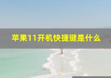 苹果11开机快捷键是什么