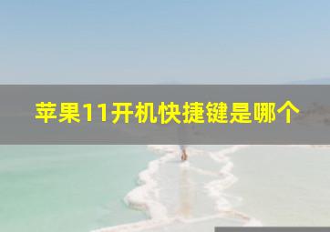 苹果11开机快捷键是哪个