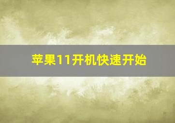 苹果11开机快速开始