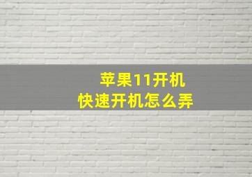 苹果11开机快速开机怎么弄