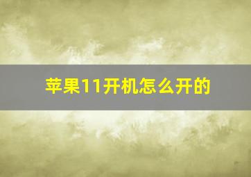 苹果11开机怎么开的