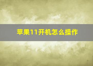 苹果11开机怎么操作