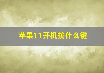 苹果11开机按什么键