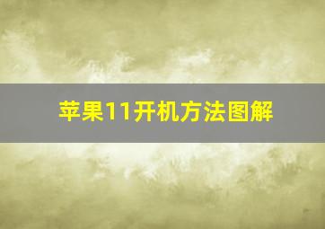 苹果11开机方法图解