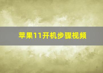 苹果11开机步骤视频