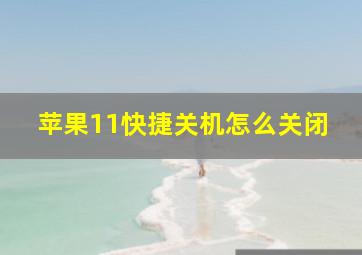 苹果11快捷关机怎么关闭