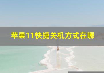 苹果11快捷关机方式在哪