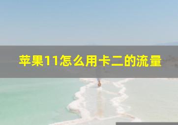 苹果11怎么用卡二的流量