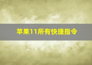 苹果11所有快捷指令