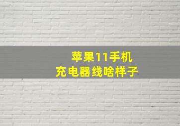 苹果11手机充电器线啥样子