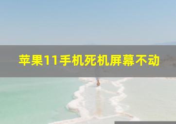 苹果11手机死机屏幕不动