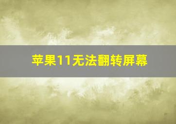 苹果11无法翻转屏幕