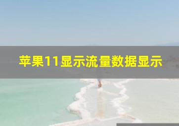 苹果11显示流量数据显示