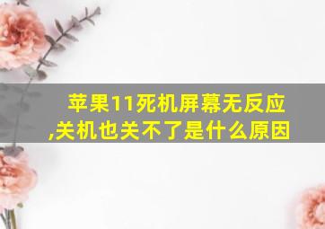 苹果11死机屏幕无反应,关机也关不了是什么原因