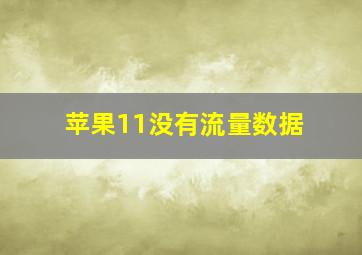 苹果11没有流量数据