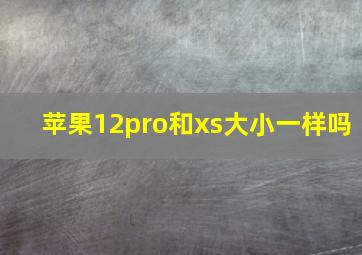 苹果12pro和xs大小一样吗