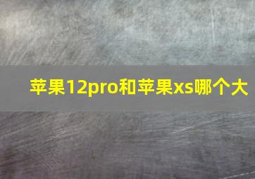 苹果12pro和苹果xs哪个大