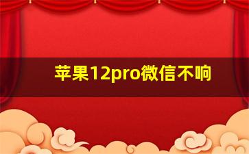 苹果12pro微信不响