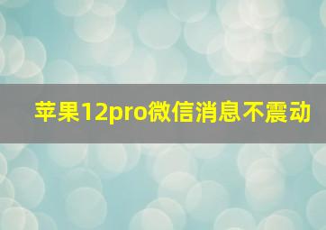 苹果12pro微信消息不震动